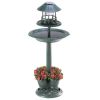 Solar-Lighted Birdbath and Planter