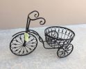 Iron Tricycle Plant Stand