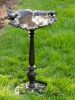 Cast Iron Leaf Design Bird Bath