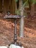 Cast Iron Leaf Design Bird Bath