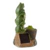 Solar Light-Up Rotating Frog Garden Decor