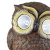 Owl Solar Garden Light - 6 inches