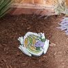 Sparkly Frog Cement Garden Stepping Stone