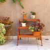 Malibu Outdoor Three-layer Wood Garden Plant Stand 30 x27x31